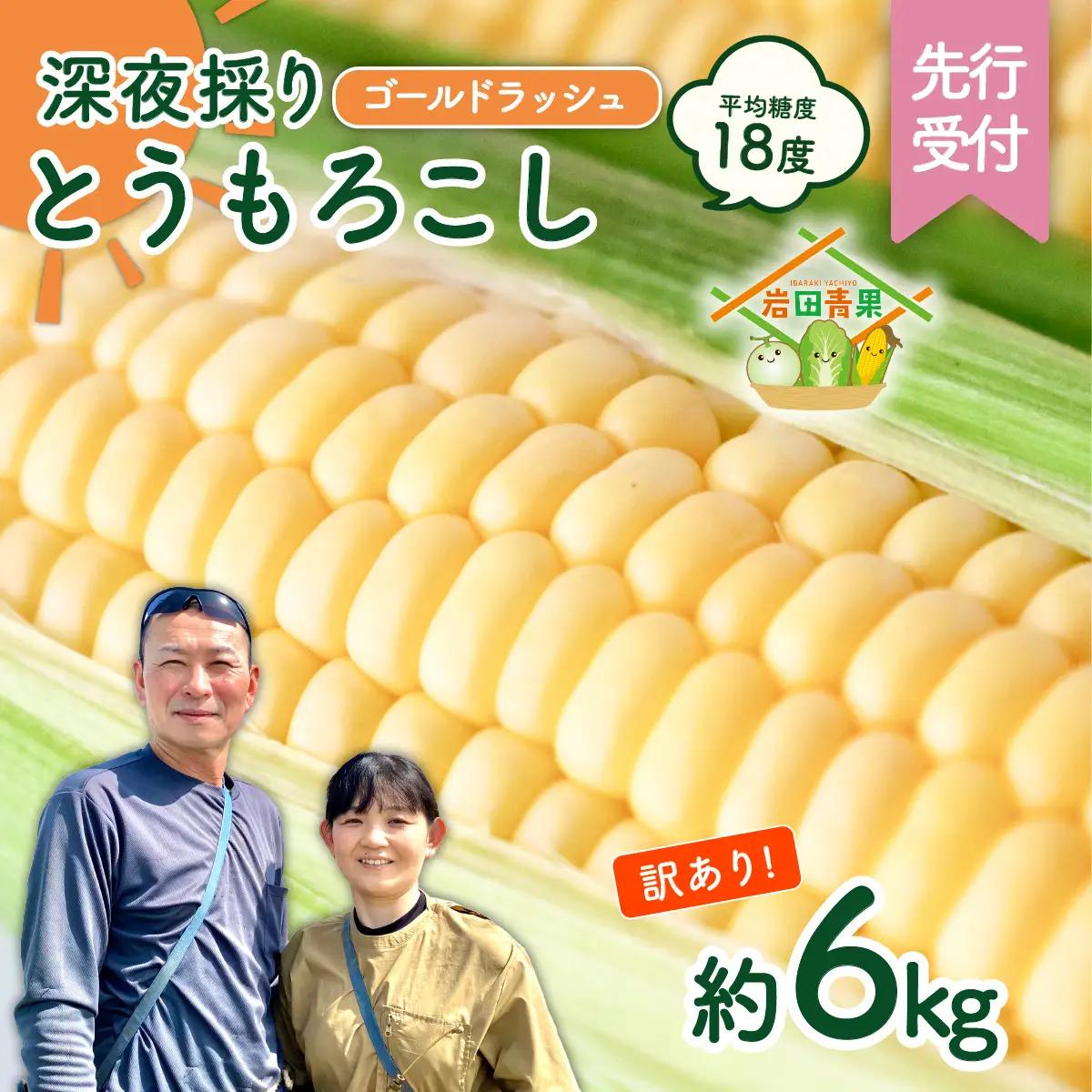 とうもろこし 訳あり ゴールドラッシュ 6kg 茨城県産 トウモロコシ 深夜採り 朝出荷
