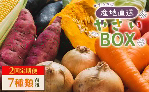 野菜 定期便 人気 ２回定期便 やさいＢＯＸ（7種類前後） やすらぎ市 産地直送 - 野菜 ベジタブル おまかせ 詰め合わせ セット 季節 旬 お任せ お楽しみ ヘルシー 国産 特産品 送料無料 やすらぎ市 高知県 香南市 Wyr-0034