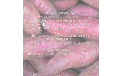 紅はるか 熟成干し芋(100g×10袋)　計1kg