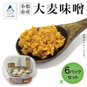 【ふるさと納税】《大麦が香る大麦みそ》 小松市産 大麦味噌6パックセット 味噌 大麦 調味料 料理 グルメ お取り寄せ 人気 ランキング おすすめ お中元 お歳暮 ギフト 小松市 こまつ 石川県 ふるさと 故郷 納税 016027【山木食品工業】