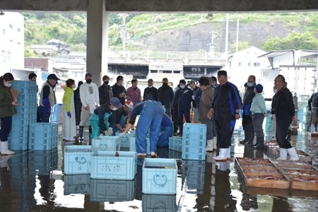 真鯛刺身 10枚×20P 冷凍 天然真鯛 鯛 たい 北風鮮魚 愛媛県 伊予市 | D39