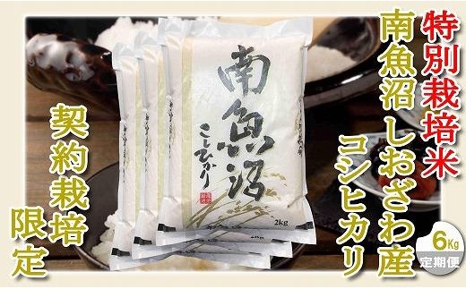 【令和8年産　新米予約】【定期配送６Kg×６ヶ月】特別栽培 生産者限定  南魚沼しおざわ産コシヒカリ【定期便 銘柄米 ブランド米 精米 こしひかり コシヒカリ 魚沼産 新潟米 産地直送】【2026年10月上旬から1ヶ月以内に順次発送予定】