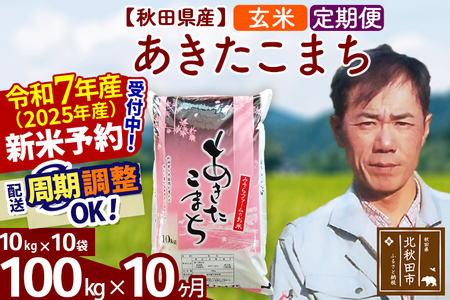※令和7年産 新米予約※《定期便10ヶ月》秋田県産 あきたこまち 100kg【玄米】(10kg袋) 2025年産 お届け周期調整可能 隔月に調整OK お米 みそらファーム