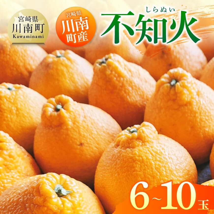 【ふるさと納税】宮崎県川南町産「不知火（しらぬい）」6～10玉 - 先行予約 季節限定 産地直送 期間限定 農家直送 果物 くだもの フルーツ しらぬい 不知火 みかん ヘスペリジン 宮崎県 川南町 送料無料 C06705