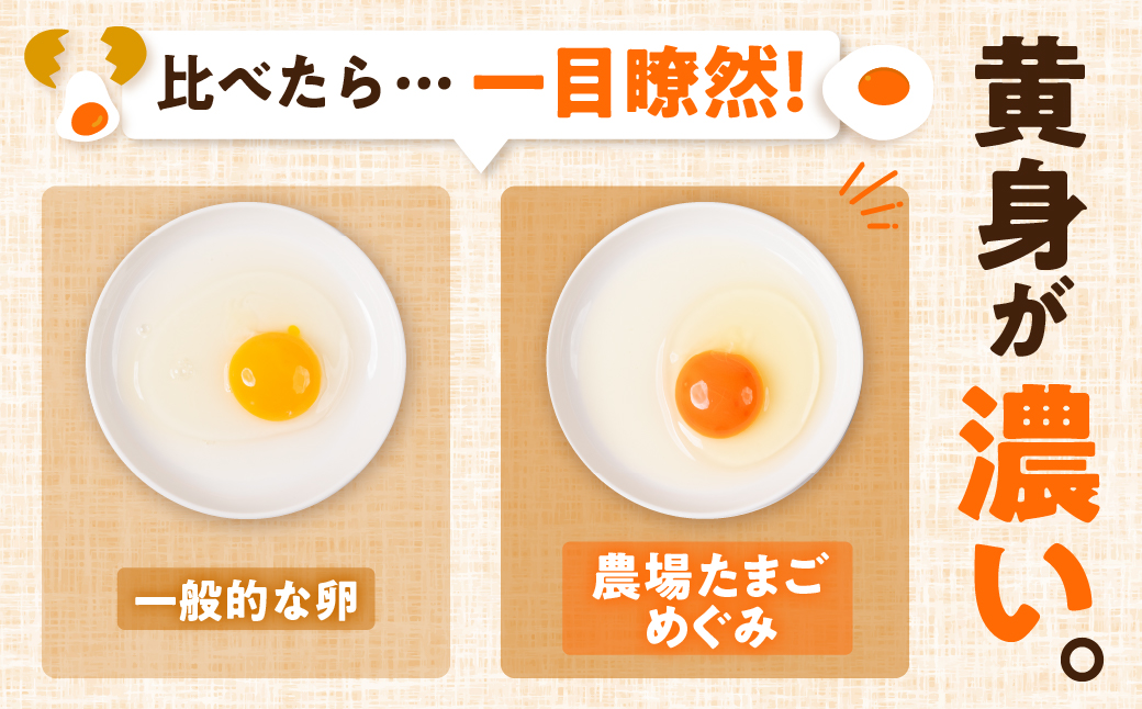 農場たまご めぐみ 30個 定期便6回　割れ保証付き 卵 たまご 鶏卵 30 赤玉 新鮮 毎月お届け 6回 6か月 半年 イラコファーム 愛知県 田原市