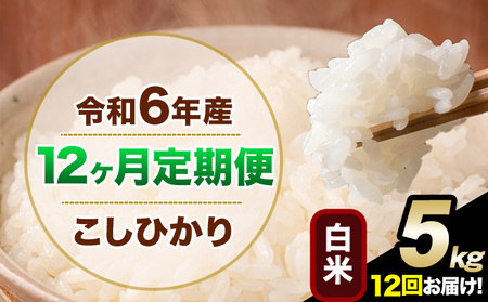 【12ヶ月定期便】令和6年産 定期便 こしひかり 白米 定期便 5kg 精米 熊本県産(南阿蘇村産含む)  南阿蘇村《申込み翌月から発送》｜人気米 熊本県産米  生活応援米
