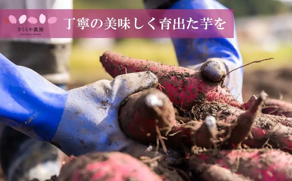 里山育ちの紅はるかを使った さくらや農園 魚沼の干し芋 110g×4袋 