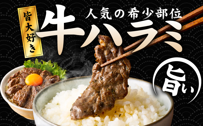 【満足牛ハラミ】オリジナルスパイス仕込み 合計1kg 【味付け ハラミ 小分け 焼くだけ 簡単調理 BBQ 牛肉 250g×4P】 G3356