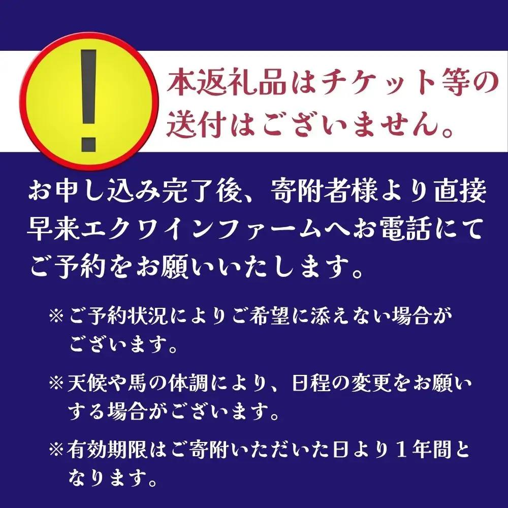 【ふるさと納税】ビジター騎乗 ＜障害あり＞  1回分 北海道安平町〈早来エクワインファーム〉馬 サラブレッド ポニー 競馬 馬術 体験