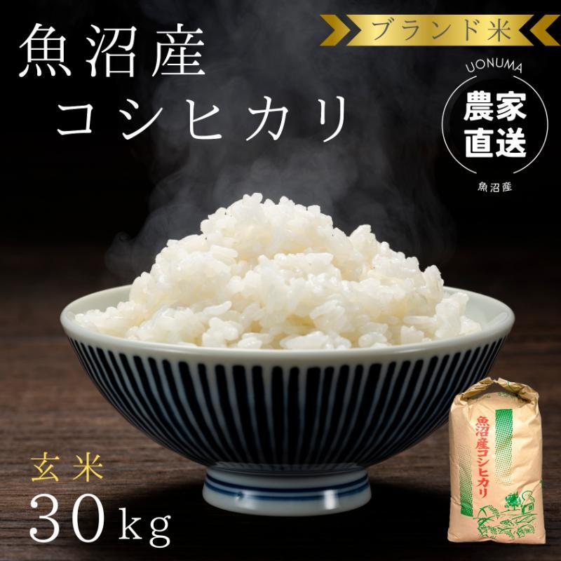 【ふるさと納税】先行予約 令和8年産 ブランド米 魚沼産コシヒカリ 玄米 30kg 米 こしひかり 新潟　お届け：10月1日から順次発送