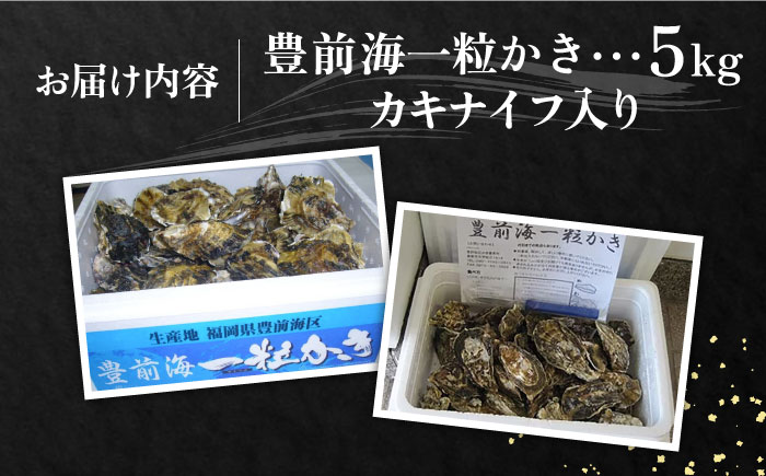 【先行予約】豊前海一粒かき 5kg  【2026年1月中旬以降順次発送】  《豊前市》【豊築漁業協同組合】 牡蠣 カキ かき 牡蛎 [VAG010]