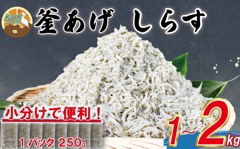 
            カテゴリーランキング1位獲得!! 釜揚げ しらす  【訳あり】1kg~2kg 【家庭用】1.5kg 【贈答用】1.25kg |  訳ありしらす  シラス丼 海の幸  釜揚げしらす 惣菜 弁当 簡単調理 加工品  グルメ 食品 魚介 小魚  魚 鮮魚 海鮮 シラス しらす しらすごはん shirasu sirasu SIRASU 人気シラス 愛媛県 松山市
          