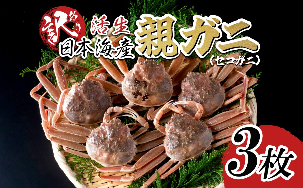 
                  【活生】訳あり ご自宅用 親ガニ（セコガニ）3枚 2026年11月～順次発送｜鳥取 岩美 日本海 かに 松葉ガニ ズワイガニ【22066】
                