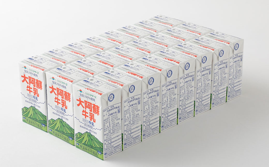【12ヶ月定期便】大阿蘇 牛乳 250ml×24本×12回 合計72L 紙パック ミルク 成分無調整