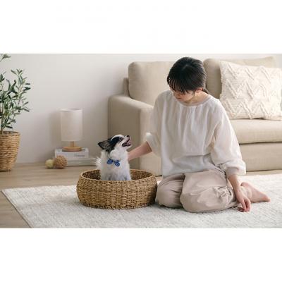 ふるさと納税 大河原町 ペットハウス 猫 犬 ペット ベッド アイリスオーヤマ[53752375] |  | 02