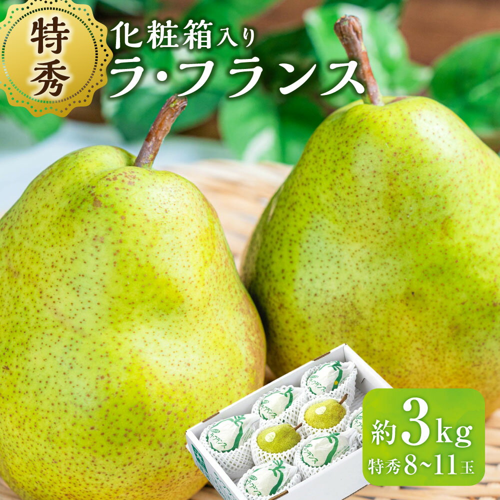 【ふるさと納税】ラ・フランス (特秀) 3kg【化粧箱入り】 山形県産 フルーツ 果物 【2025年11月上旬～12月上旬発送予定】