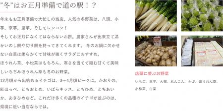 道の駅まくらがの里古河　季節の新鮮野菜おまかせAセット_BQ03 ※北海道・沖縄・離島への配送不可