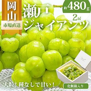 【2025年発送】岡山県産　瀬戸ジャイアンツ2房　(1房480g以上)合計約1kg　化粧箱入り【配送不可地域：離島・北海道・沖縄県】【1357578】