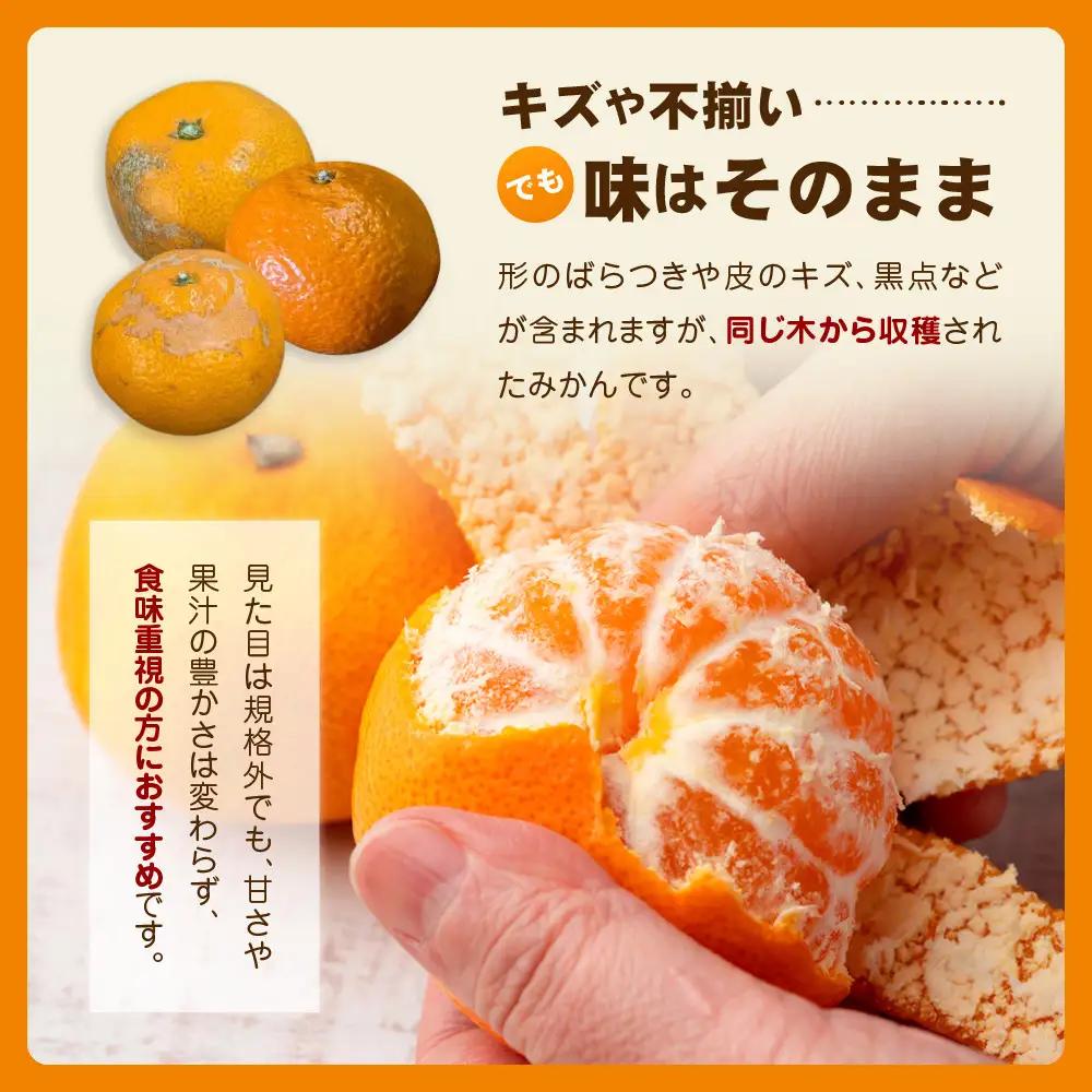 【訳あり】和歌山みかん 約9.5kg+補償分約500g サイズ混合 11月より順次発送 訳ありみかん 【red1】