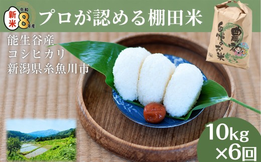 令和8年産新米 新潟県能生谷産コシヒカリ 10kg×6ヶ月 計60kg【定期便】プロも認める棚田米 農家直送 2026年産 JATs有限会社【新潟県 糸魚川市 米 お米 こめ コメ ご飯 ライス ふるさと納税米 ブランド米 おすすめ ギフト 10キロ 60kg 精米 白米 人気 食品 6回 6か月】