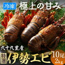 【ふるさと納税】甘い!旨い!冷凍品とは思えない!活け〆リキッド冷凍伊勢海老(刺身用) 10尾で2kg【配送不可地域：離島】【1578238】