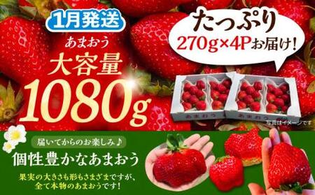【先行予約】【1月発送】農家直送 あまおう 1080g(270g以上×4P)土耕栽培[VAB004]果物 アマオウ