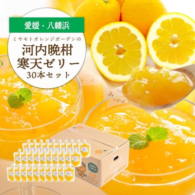ゲル化剤・pH調整剤不使用!愛媛産 河内晩柑寒天ゼリー 30本セット【H25−239】【1630027】