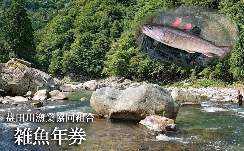 
予約受付【令和7年】益田川雑魚年券 渓流釣り 釣り券 釣り つり 下呂市 つり券 あまご いわな 2025年
