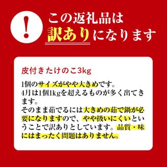 i500 ≪数量限定！2025年4月上旬～4月中旬の間に発送予定≫【訳あり】鹿児島県出水市産！タケノコ＜皮付き3kg＞ たけのこ 筍 タケノコ 国産 皮付き 訳アリ 野菜 旬 新鮮 採りたて 煮物 味