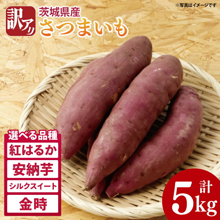 【ふるさと納税】【2025年11月より順次発送】【数量限定】【選べる品種】訳アリ 茨城県産さつまいも 約5kg｜さつまいも 芋 サツマイモ 紅はるか 訳あり わけあり 先行予約 茨城県 取手市（AS003）