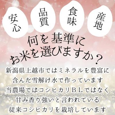 ふるさと納税 上越市 【令和7年産 新米】従来コシヒカリ (精米)5kg(新潟県上越市産) |  | 01