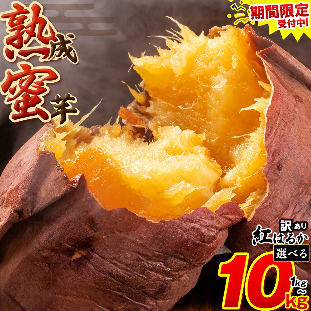 【ふるさと納税】訳あり さつまいも 熟成蜜芋 訳あり 紅はるか さつまいも 1.5kg 3kg 5kg 10kg 《2026年1月上旬-5月末頃出荷予定》紅はるか さつまいも 熊本県 大津町 イモ 芋 さつまいも 訳あり