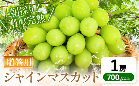 贈答クラス シャインマスカット 1房 (700g以上) 《8月下旬-10月上旬頃出荷》ぶどう【配送不可地域あり】（離島）
