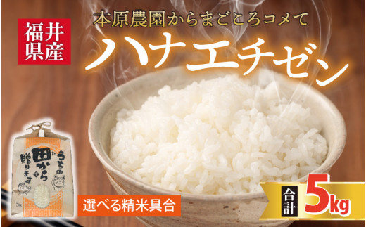 【先行予約】【令和8年産・新米】 ハナエチゼン5kg × 1袋 ～本原農園からまごころコメて～（玄米）【2026年9月上旬以降順次発送予定】 【お米 白米 玄米 はなえちぜん 5キロ 選べる 精米 ブランド米 ごはん ご飯 おいしい ふるさと納税米 産地直送】 [A-8930]