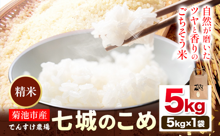 令和7年産 精米 七城のこめ 5kg《30日以内に出荷予定(土日祝除く)》熊本県 菊池市 米 白米 ヒノヒカリ でんすけ農場---309-4002---