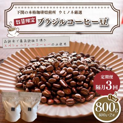 ふるさと納税 下関市 【定期便】訳あり コーヒー豆 800g(400g×2袋) ブラジル 隔月3回 EW156-x