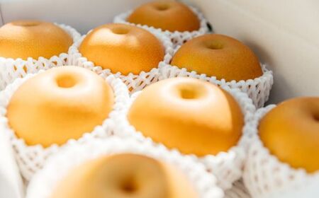 No.2782【先行予約】旬の特選梨 あきづき3kg【2024年発送】