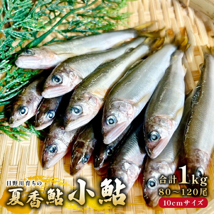 【ふるさと納税】日野川育ちの「夏香鮎」小鮎（約10cm）瞬間冷凍 1kg　HM02