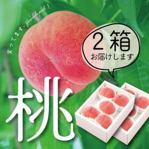 【2025年 先行受付】山梨直送!完熟桃5～7玉  約1.5kg×2箱 約3kg ギフト化粧箱入り【配送不可地域：離島・沖縄県】【1485555】