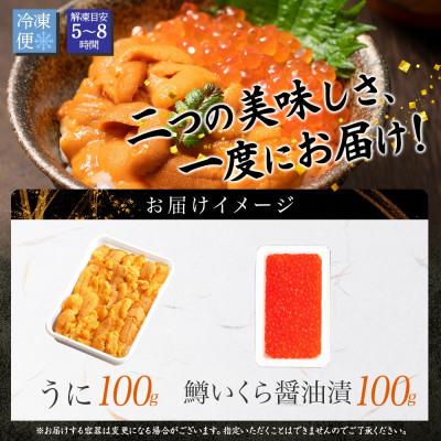 ふるさと納税 弟子屈町 【のし付】ウニ 100g 鱒いくら醤油漬け 100g 2種 海鮮丼 北海道 弟子屈町 3618 |  | 03