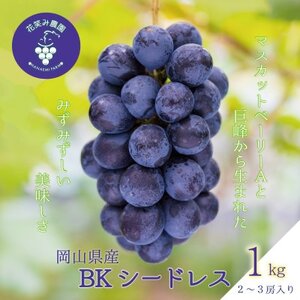 岡山　花笑み農園の『BKシードレス』1kg(2～3房)　B-1【9月中旬～順次発送】【配送不可地域：離島】【1628316】
