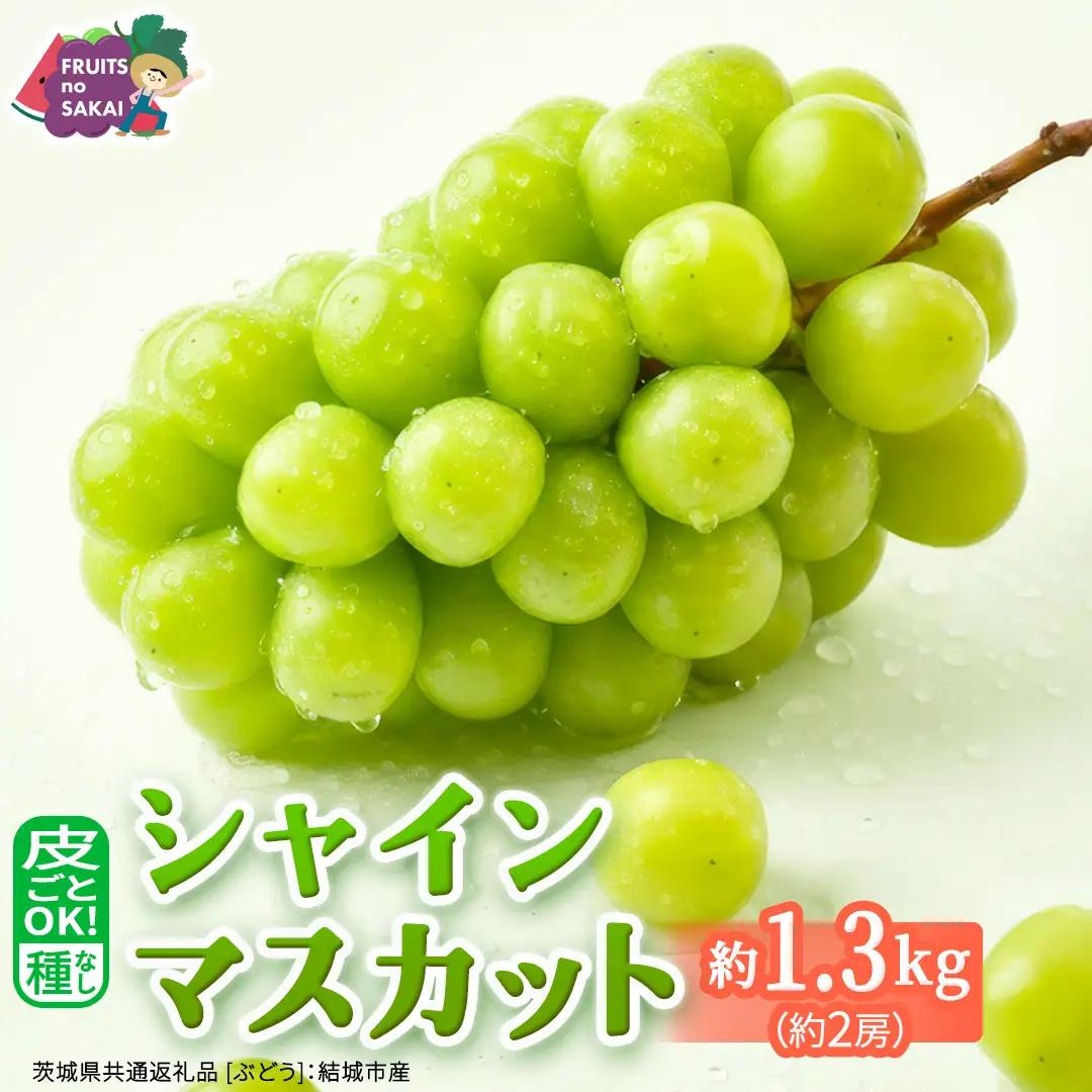 シャインマスカット 約1.3キロ（約2房） 【2026年9月より発送開始】（茨城県共通返礼品 [ぶどう]：結城市産） 