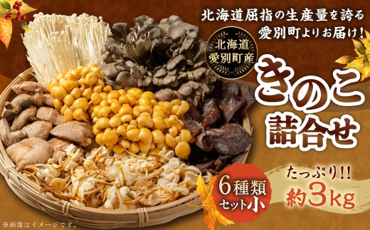 きのこ詰合せ ( まいたけ、 椎茸、 えのき茸、 なめこ、 えぞゆきのした、 きくらげ ) ６種類セット 【 小 】  × ２合計約3.0kg きのこ キノコ 茸 新鮮 詰め合わせ セット 食べ比べ 国産 北海道産 茸料理