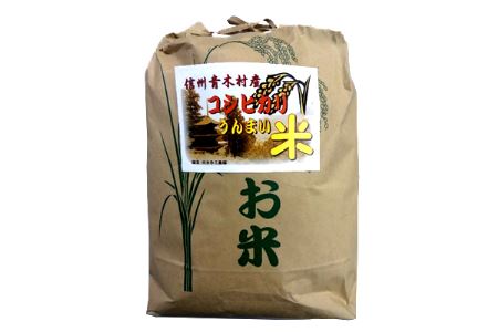 【ふるさと納税】青木村産こしひかり10kg（令和7年産）