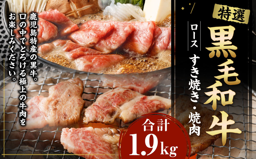 
特選 黒毛和牛 ロース すき焼き＆焼肉セット 計1.9kg（すき焼き用 500g×3・焼肉用 400g）国産 牛肉 Z-2
