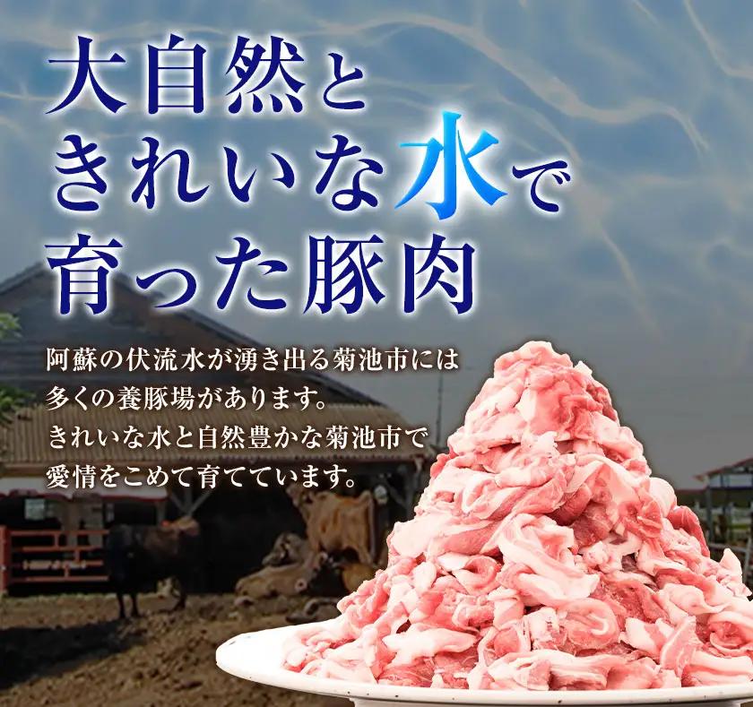 豚肉 切り落とし 900g 焼肉いしい 株式会社石井牧場《30日以内に出荷予定(土日祝除く)》 熊本 支援