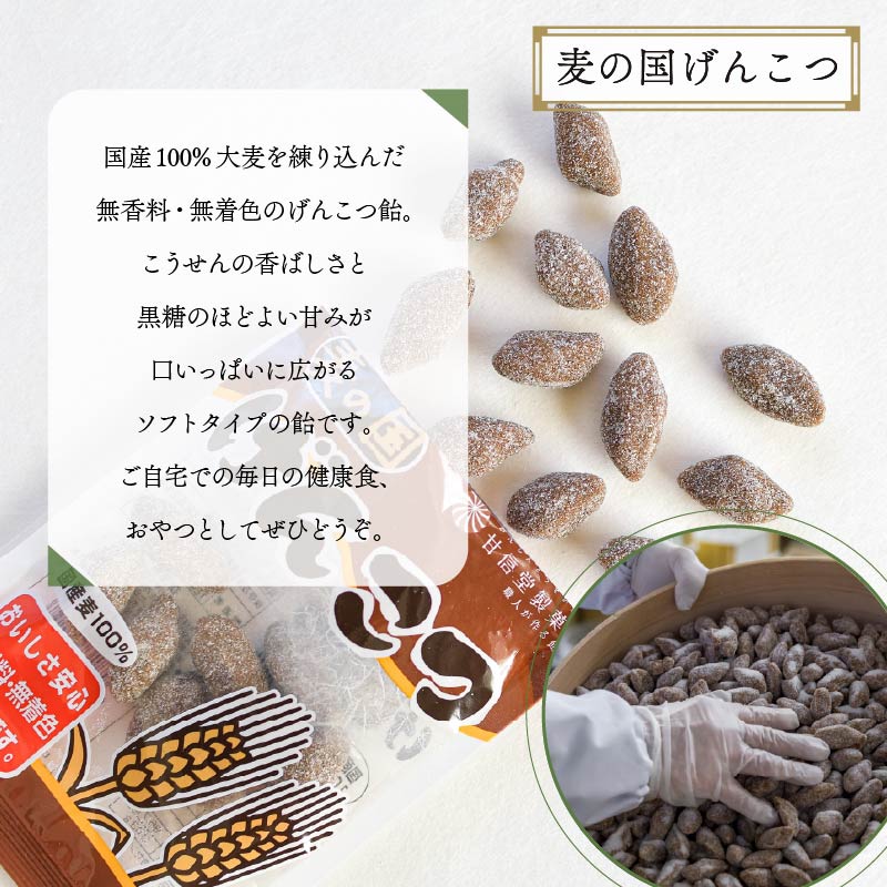 飴 げんこつ飴 10袋 あめ アメ おかし お菓子 おやつ 静岡県 藤枝市 甘信堂製菓