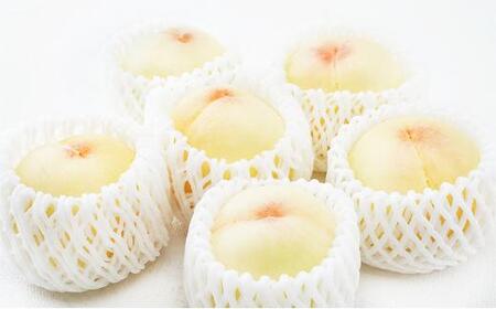 桃 定期便 2024年 先行予約 晴れの国 岡山 の 白桃 ×2回 お届け 1回目 白桃 6玉（1玉250g以上）／2回目 白桃 6玉（1玉300g以上） 化粧箱入り もも モモ 岡山産 国産 フルー