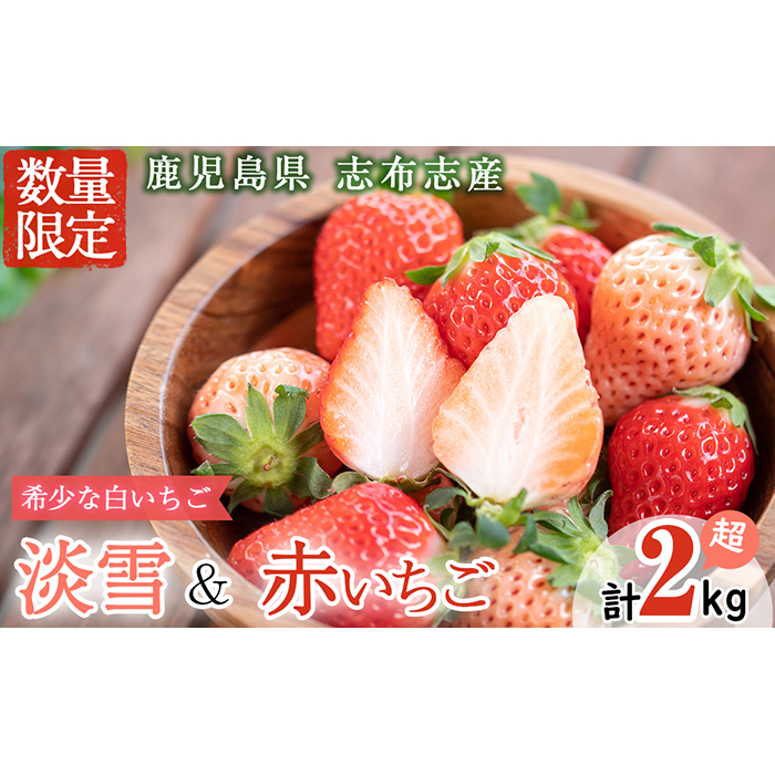 〈先行予約受付中！〉鹿児島県産いちご！志布志発祥白いちご「淡雪」4Pと季節おまかせ赤いちご4Pセット(計2kg・約270g×8P) c0-015