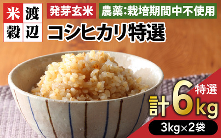 【令和6年産・新米】発芽玄米 コシヒカリ「特選」特別栽培米使用 3kg×2袋（計6kg）【米 こしひかり 玄米 ギャバ GABA 無農薬 特別栽培 食物繊維 栄養 真空パック ごはん ご飯 おいしい ふるさと納税米】 [B-2932]